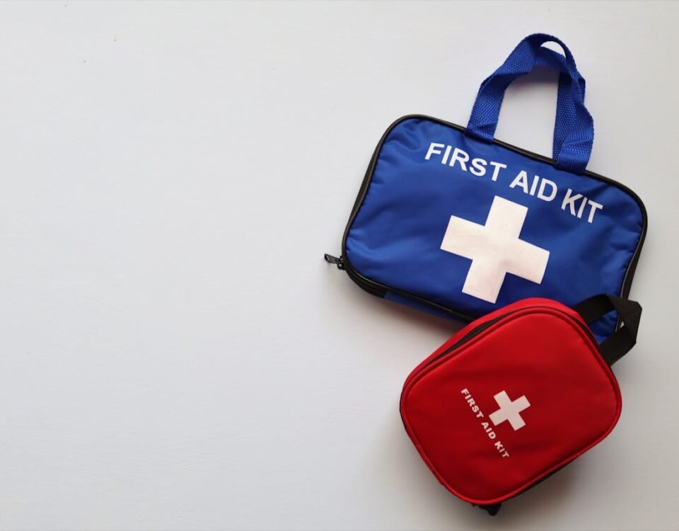 Reiseapotheke für Haustiere