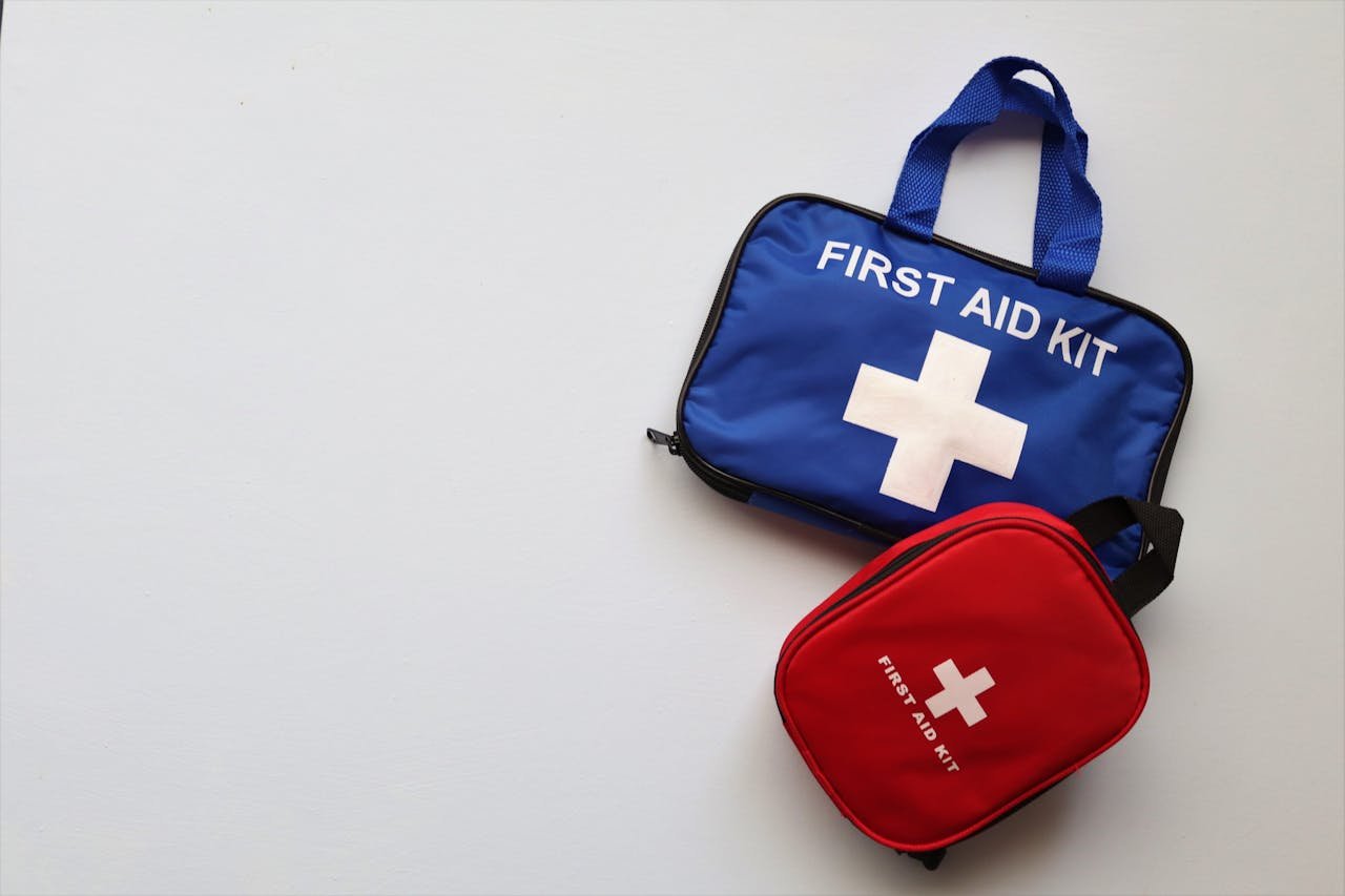 Reiseapotheke für Haustiere